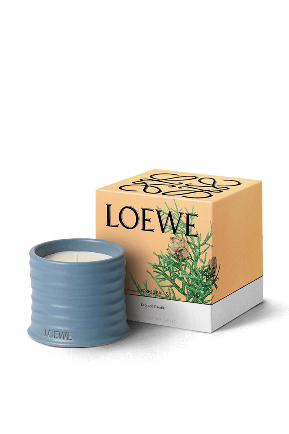 תמונה אחורית של LOEWE Cypress Small Scented Candle