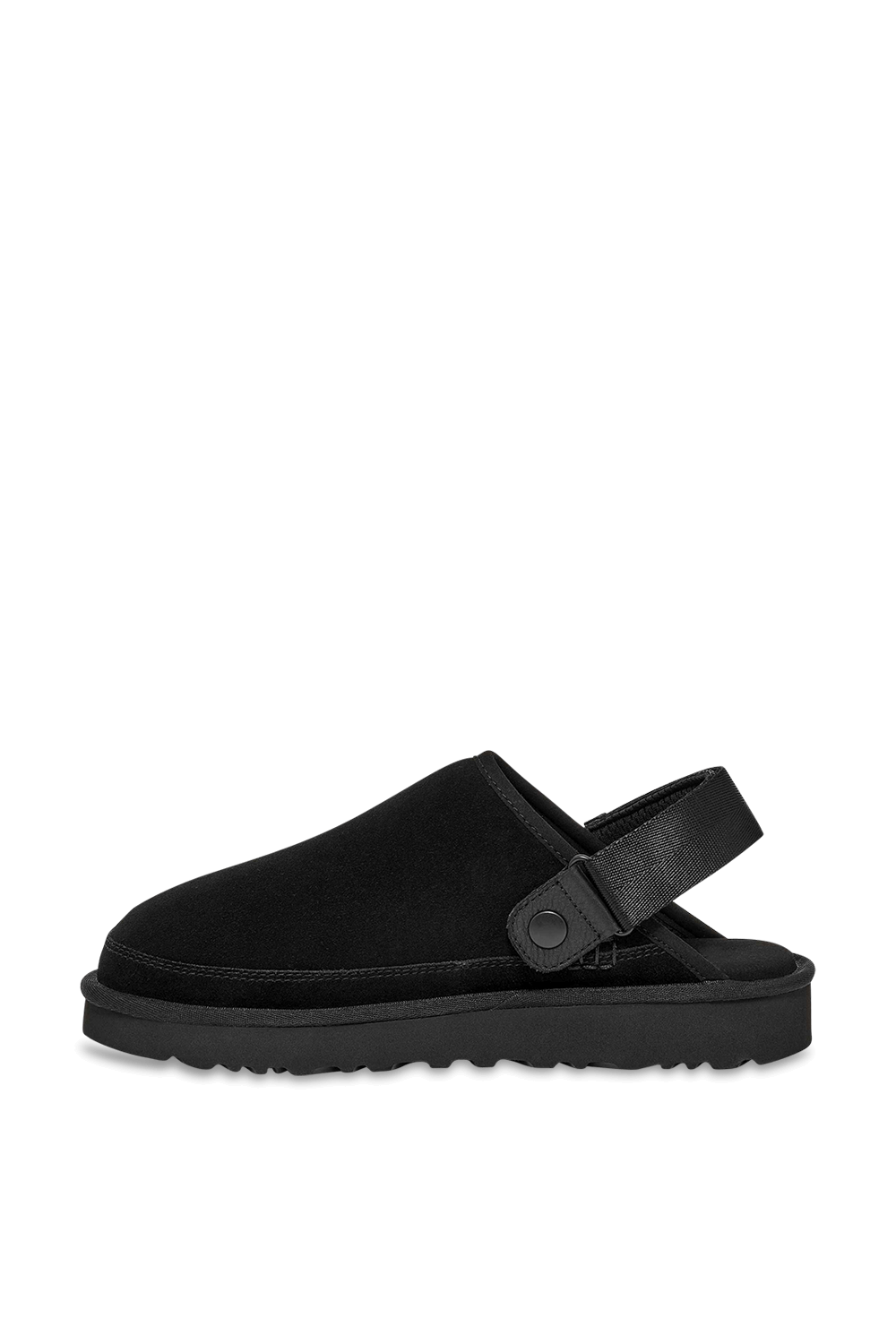 תמונה אחורית של גולדן קוסט קלוג II