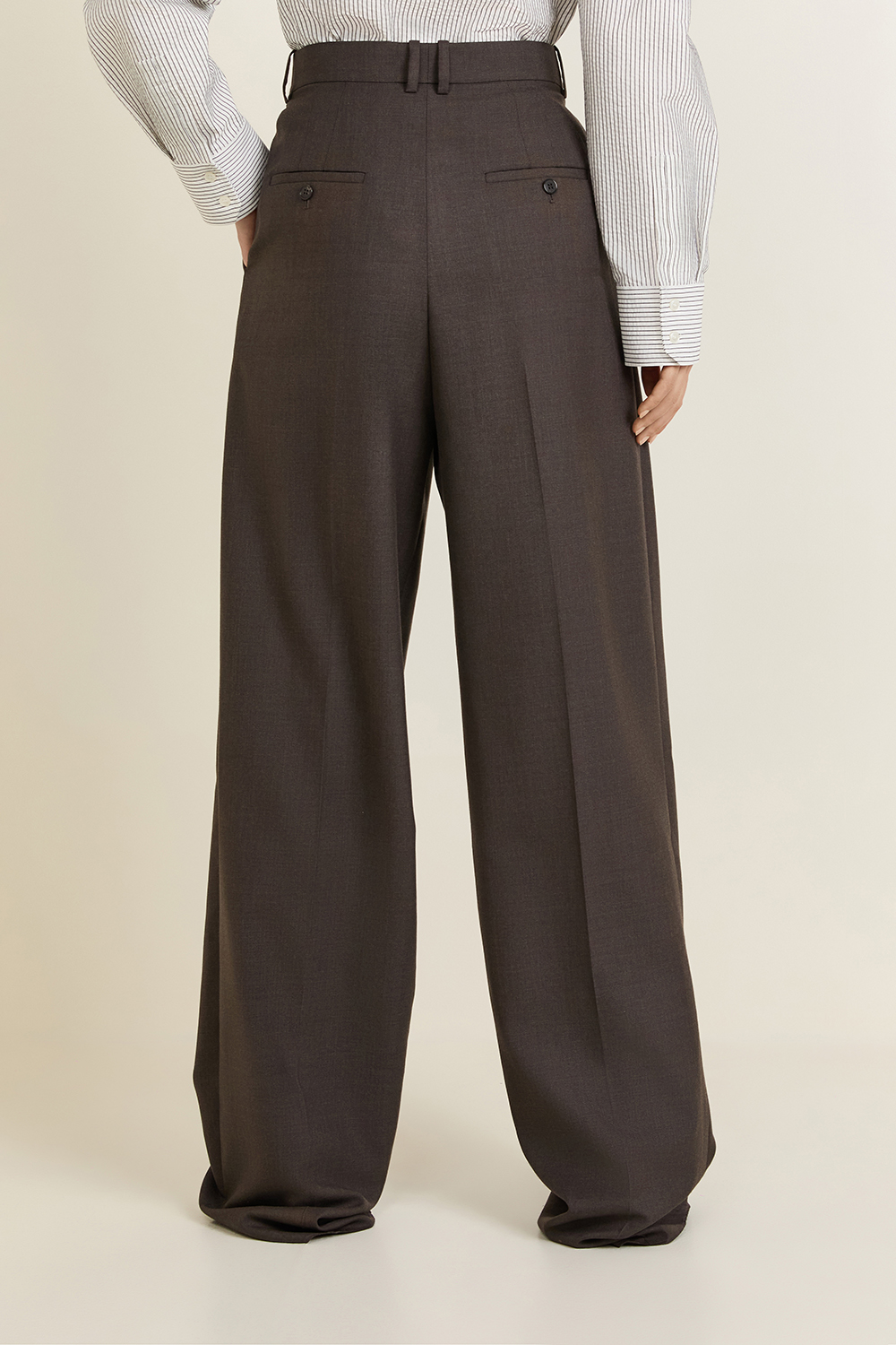 תמונת דוגמן אחורית של מכנסי קפלים מחוייטים