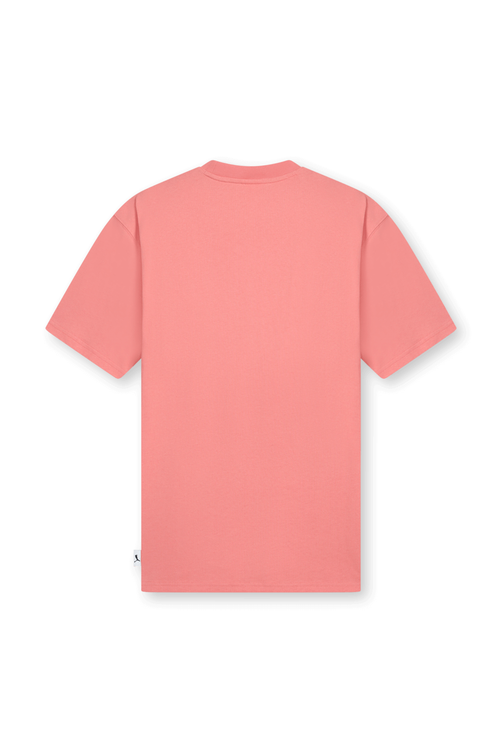 תמונה אחורית של חולצה