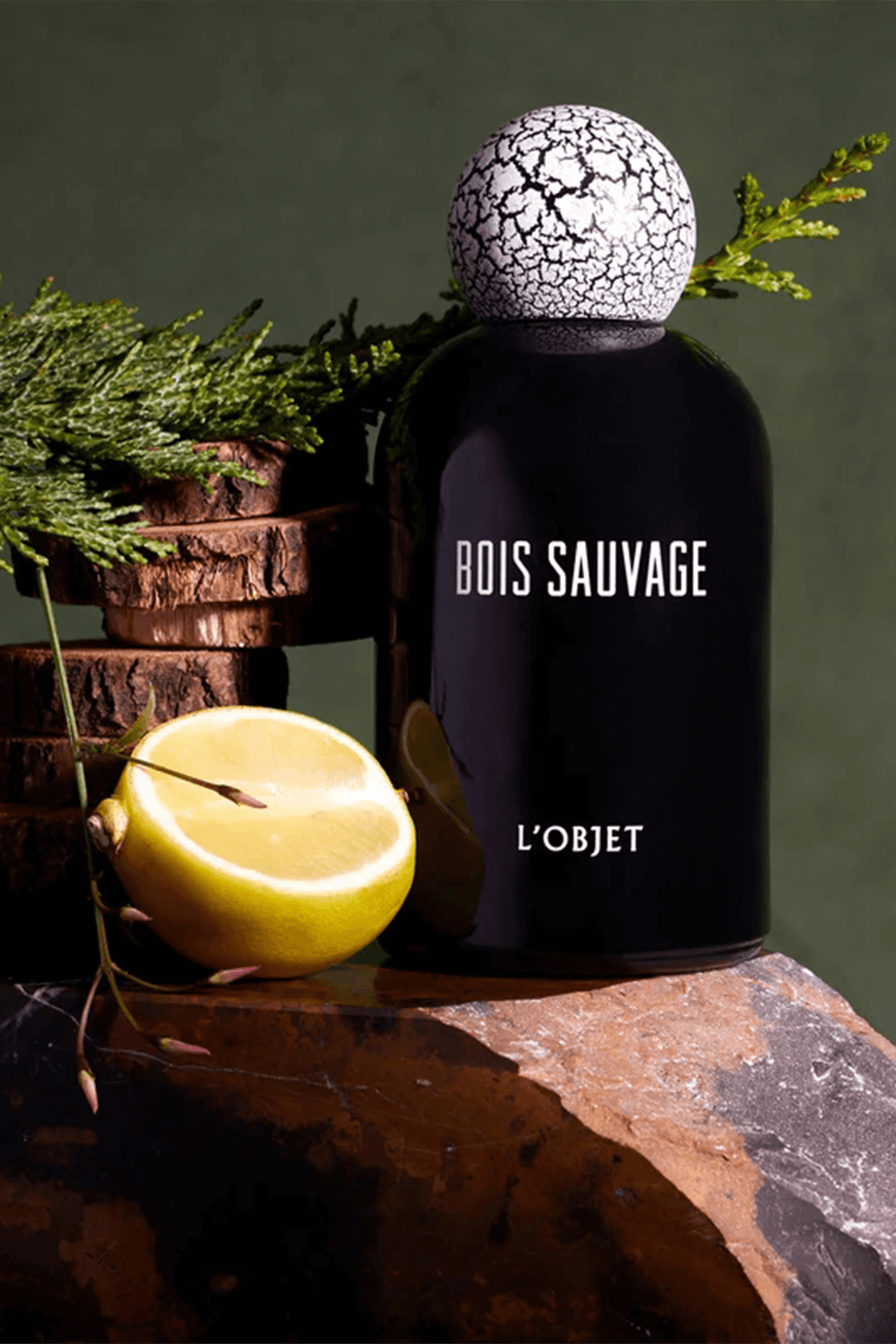 תמונה אחורית של Bois Sauvage Eau de Parfum 100 ml
