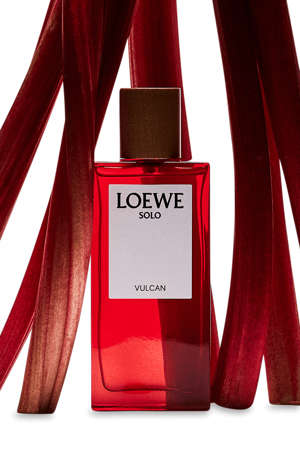 תמונת תקריב של LOEWE Solo Vulcan Eau de Parfum 50 ml