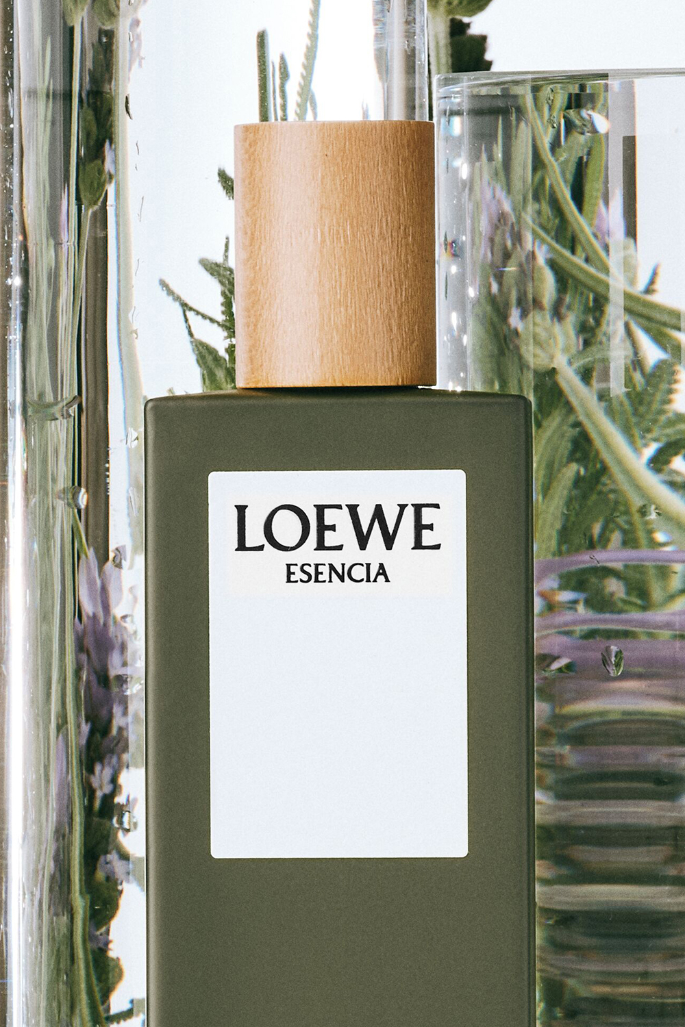 תמונת פנים של LOEWE  Esencia Eau de Toilette 100 ml