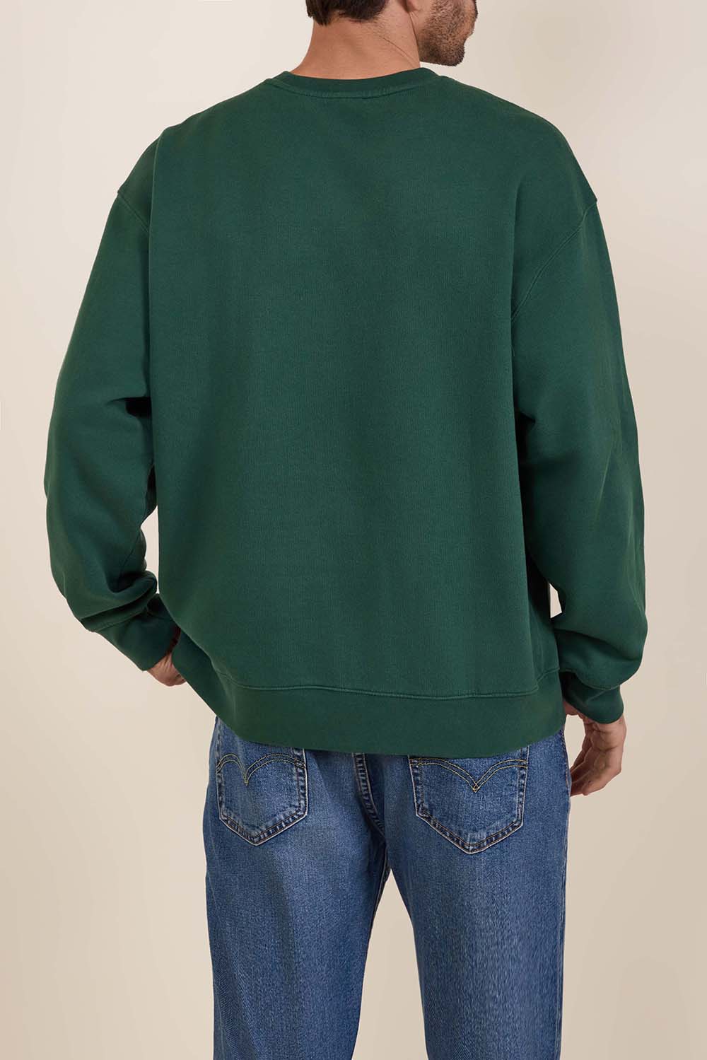 תמונת דוגמן אחורית של סווטשירט