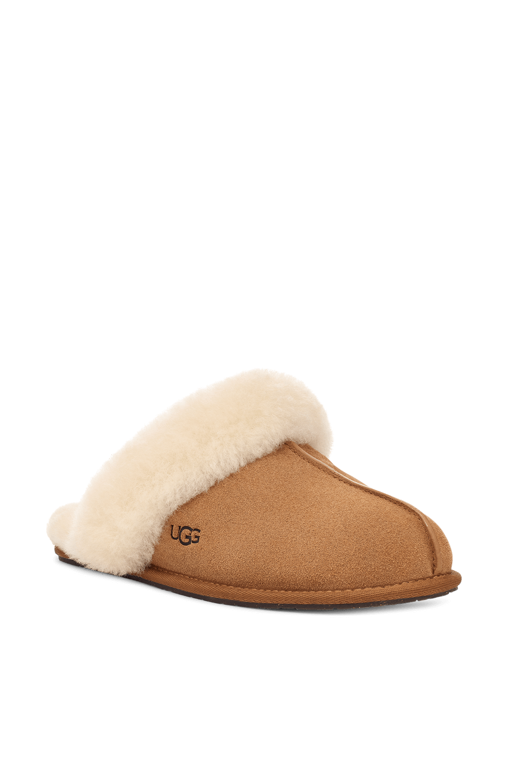 תמונה אחורית של נעלי בית סקאף