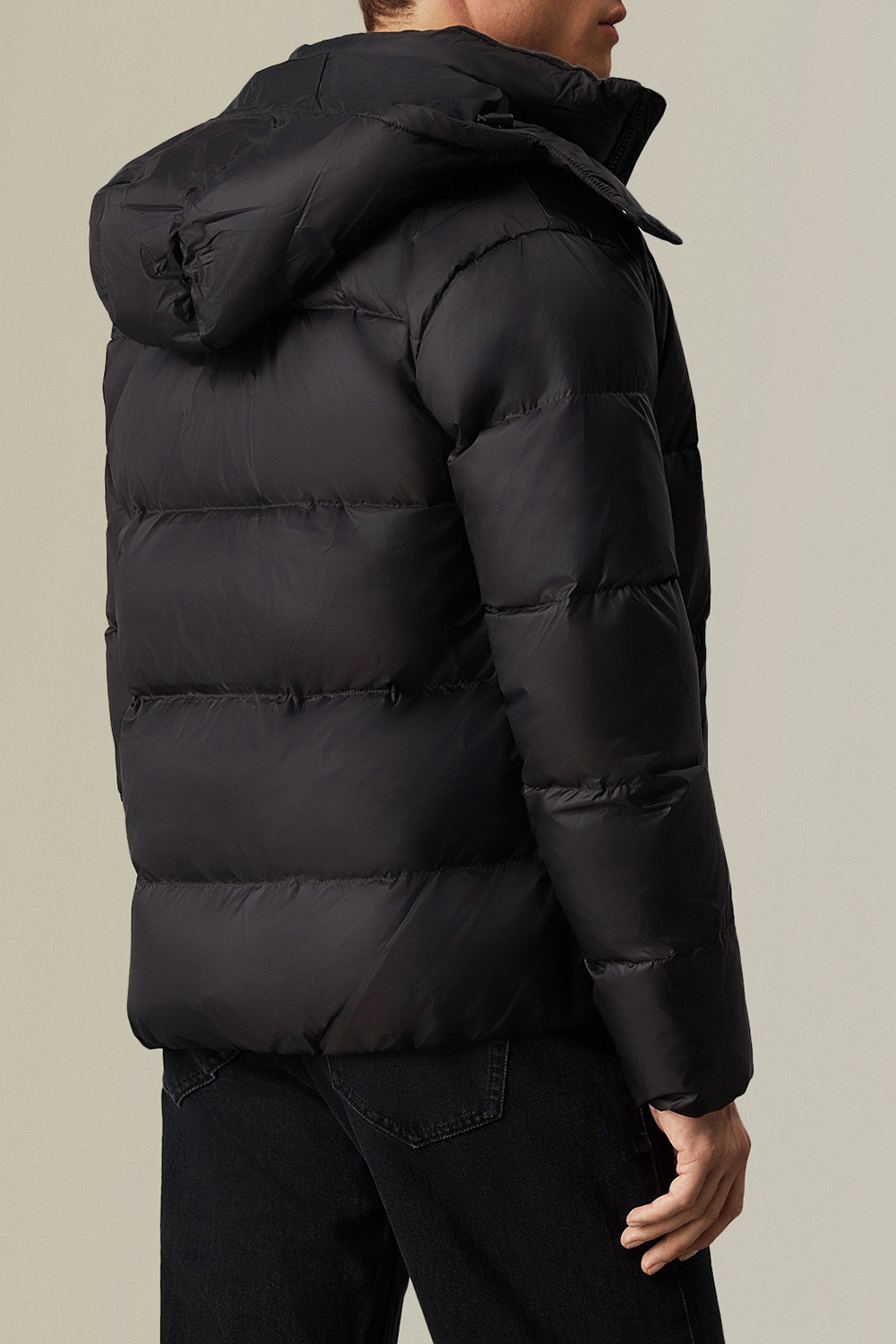 תמונת דוגמן אחורית של מעיל פאפר