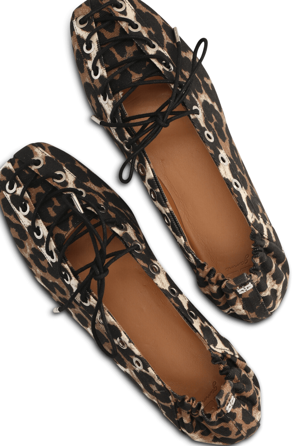 תמונת פנים של נעלי בלרינה