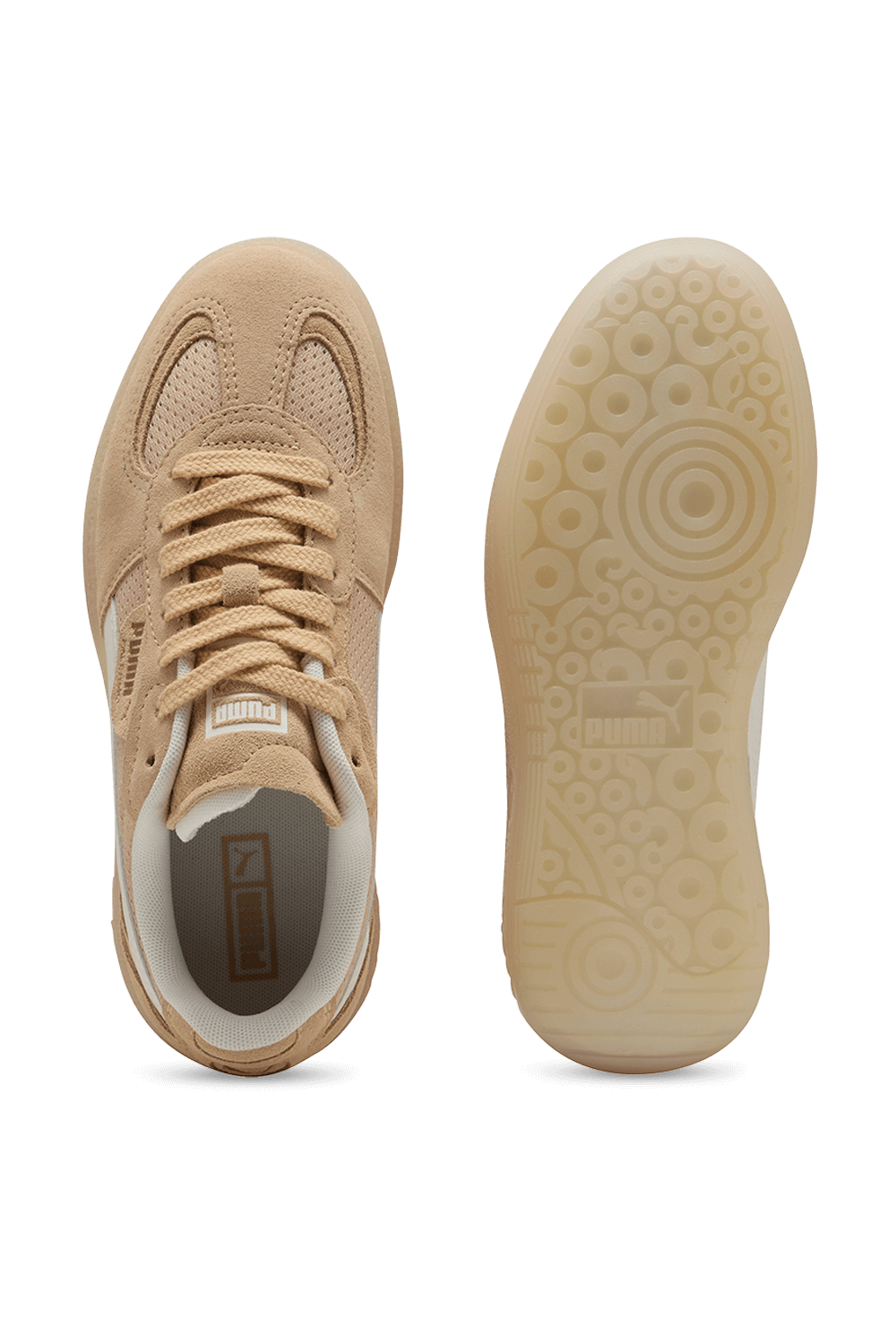 תמונת פנים של נעלי סניקרס פאלרמו וינטג'