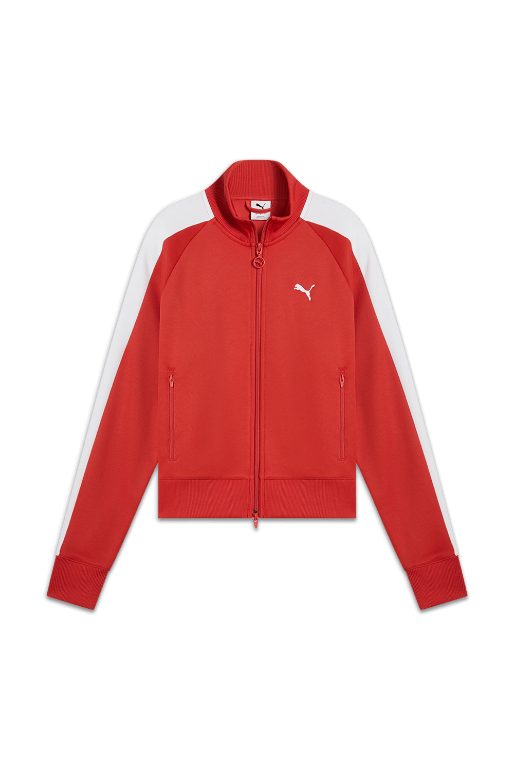 תמונה קידמית של סווטשירט