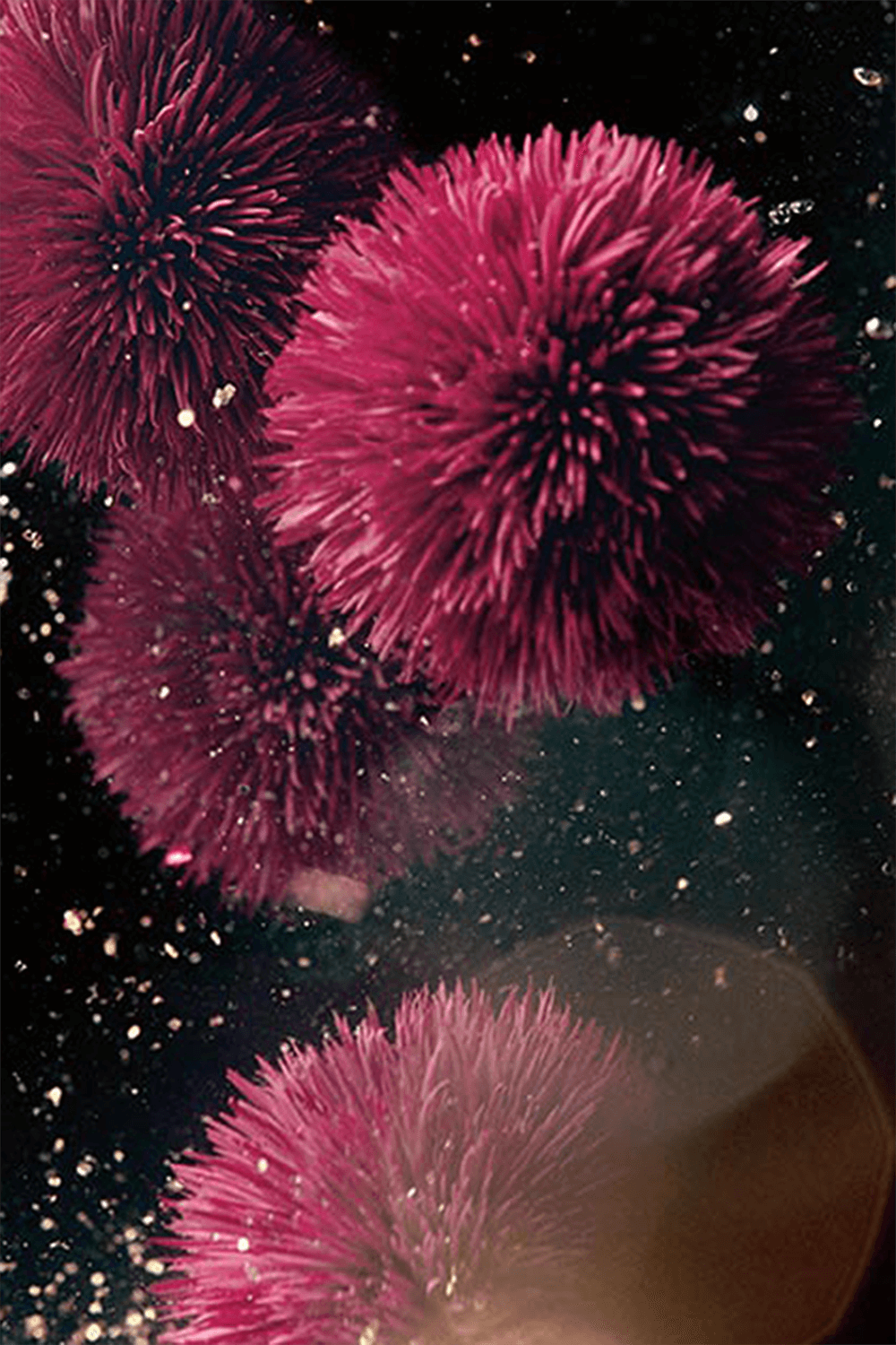 Genaissance - The Eye and Expression Creme 15ml