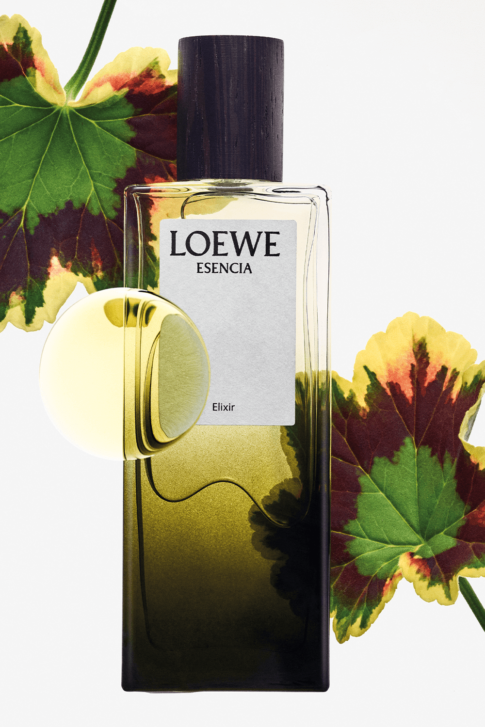 תמונת תקריב של LOEWE Esencia Elixir Eau de Parfum 50 ml