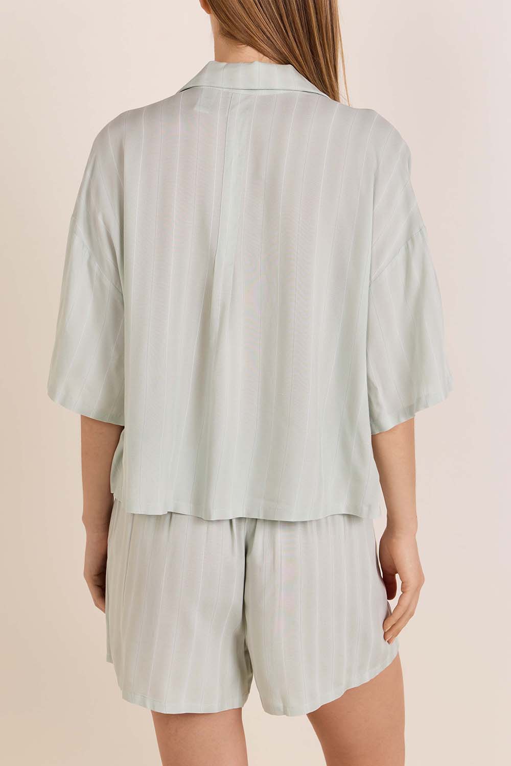 תמונת דוגמן אחורית של חולצת כפתורים