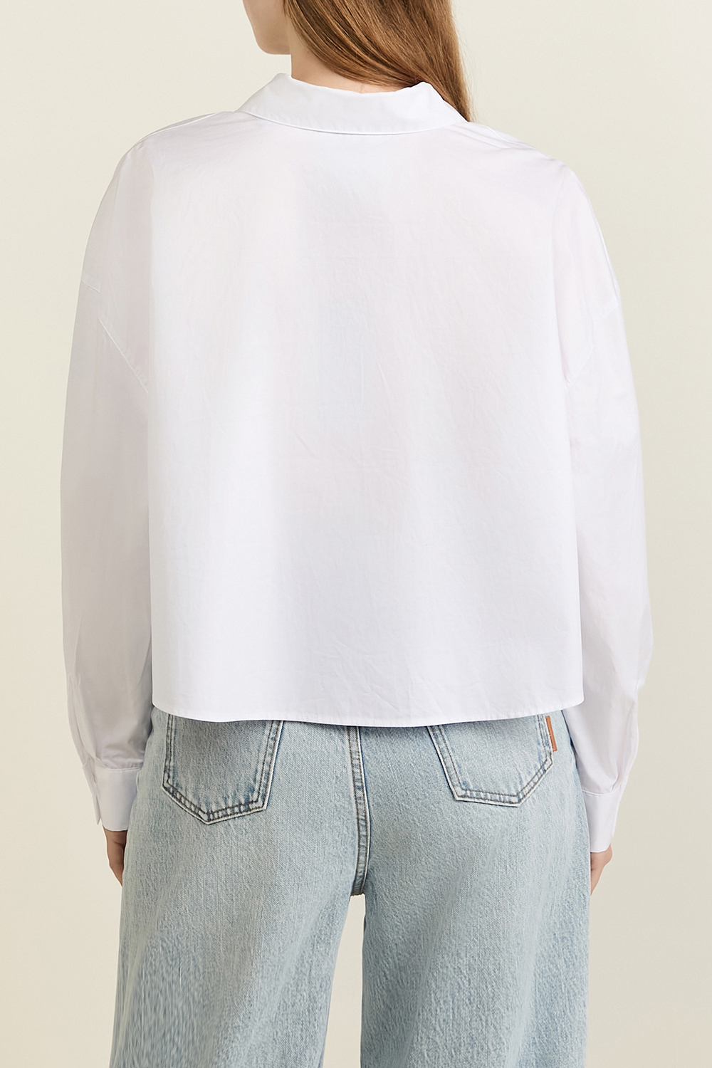 תמונת דוגמן אחורית של חולצת כפתורים קרופ