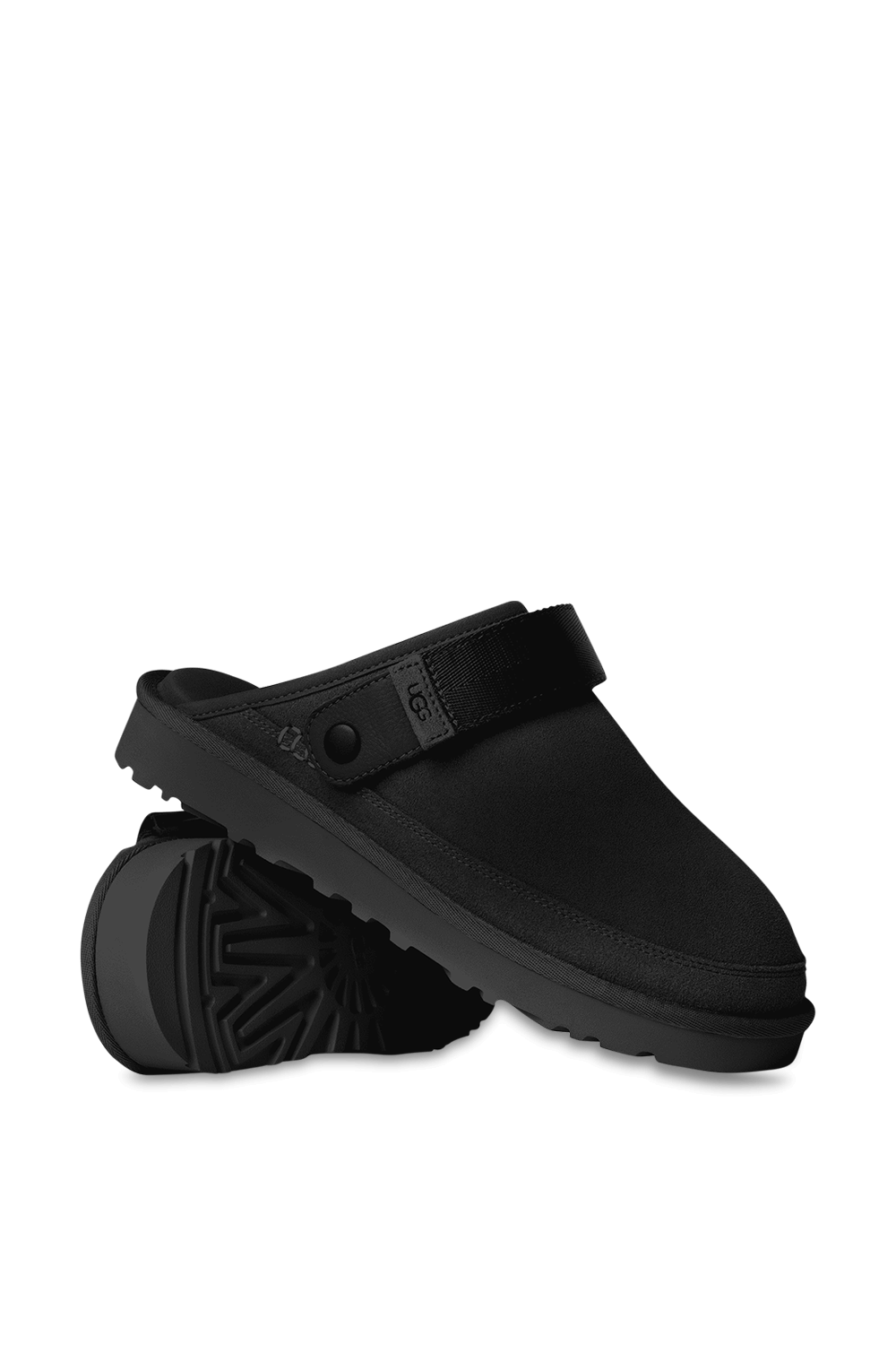 תמונת פנים של גולדן קוסט קלוג II