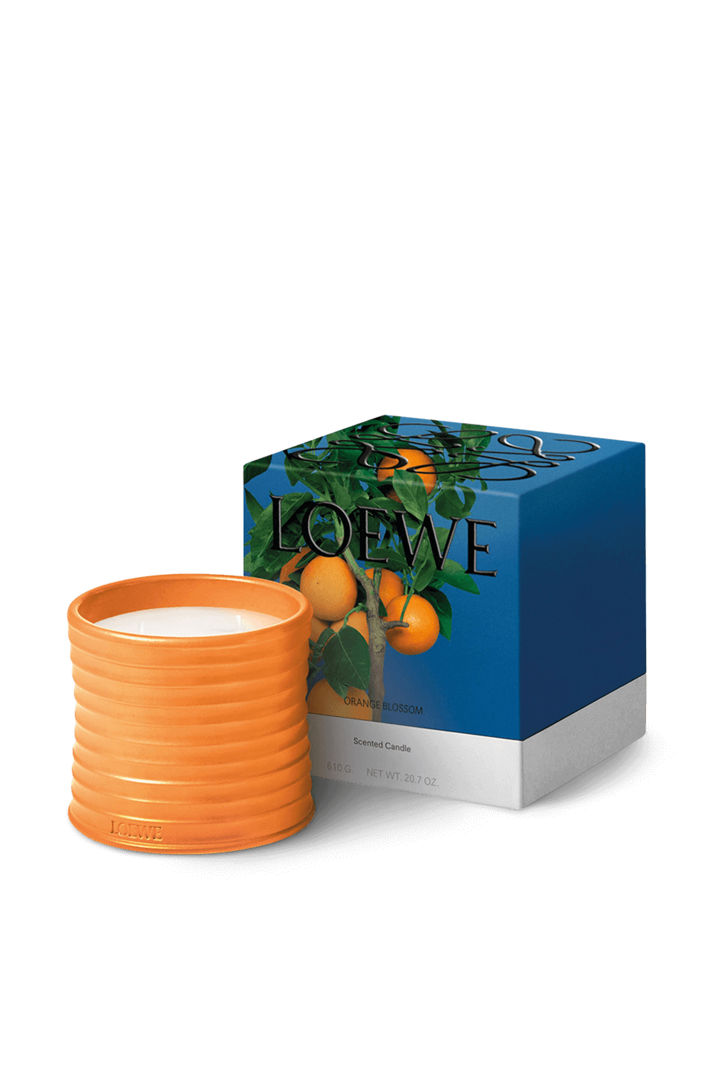 תמונה אחורית של LOEWE Orange Blossom Medium Scented Candle