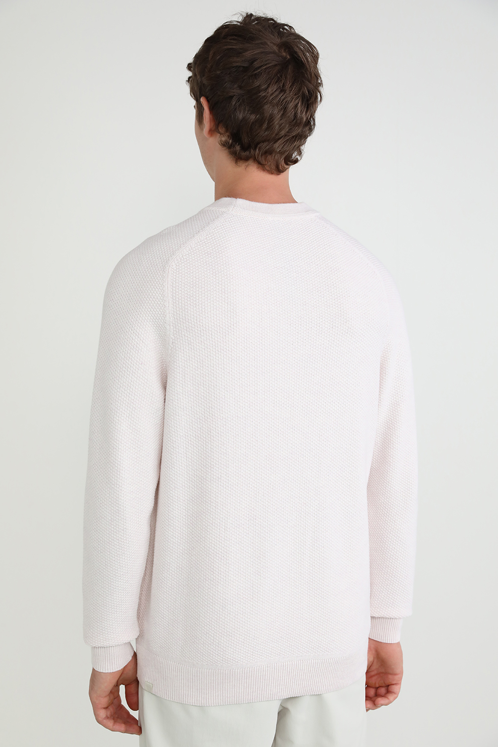 תמונת דוגמן אחורית של Textured Knit Crewneck Sweater