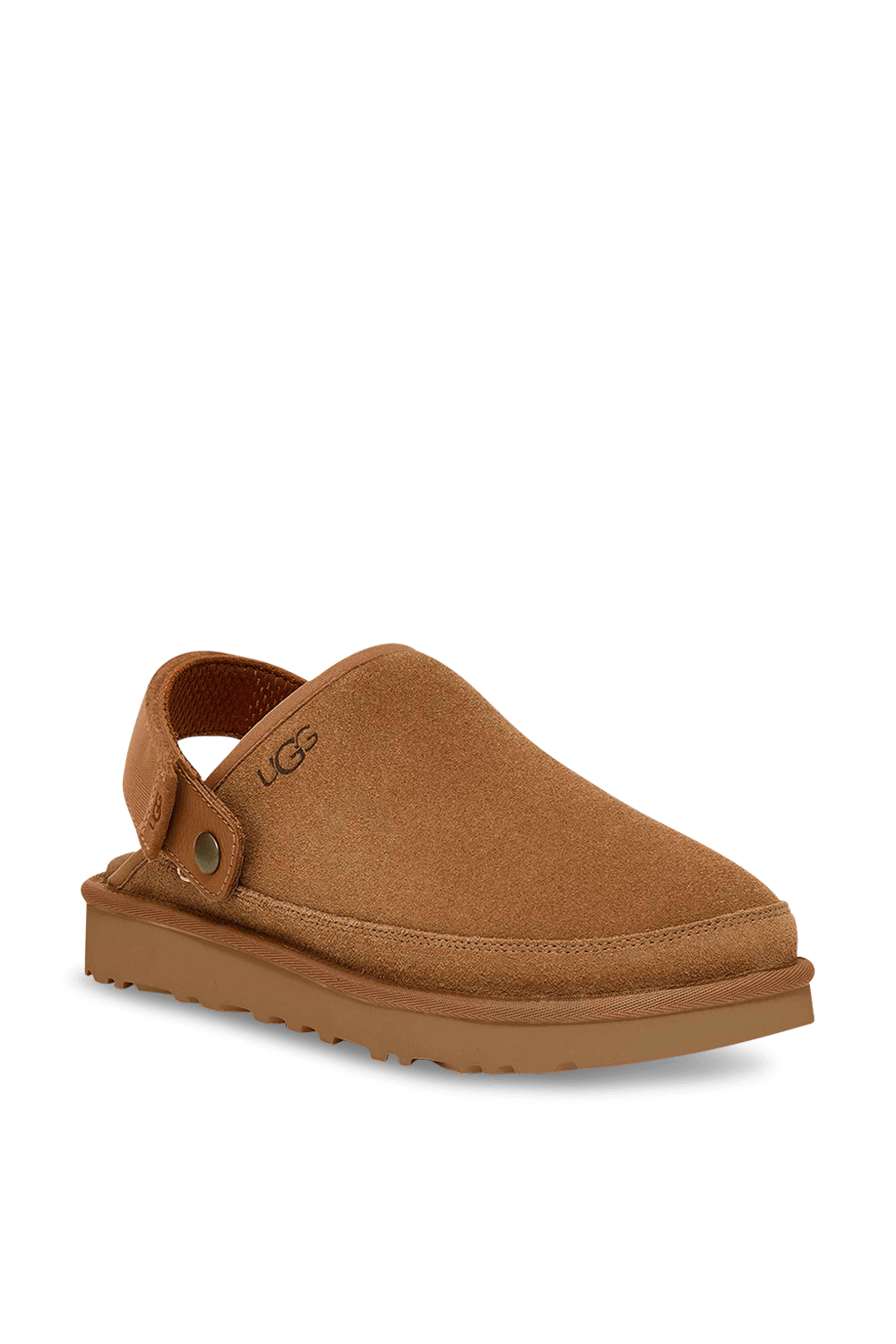 תמונת פנים של גולדן קוסט קלוג II