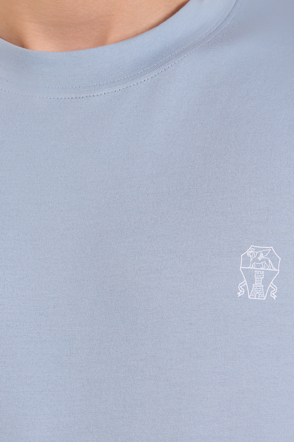 תמונת תקריב דוגמן של חולצת טי