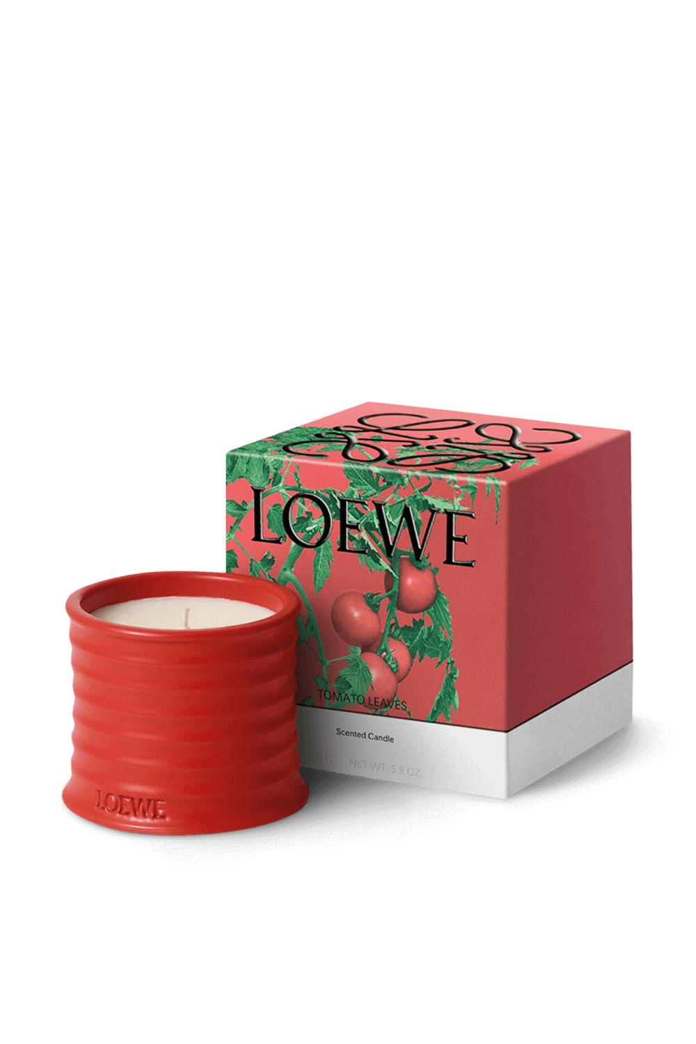 תמונה אחורית של LOEWE Tomato Leaves Small Scented Candle