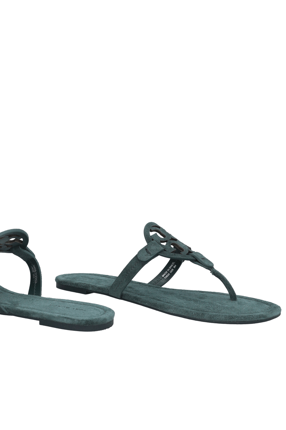 תמונת תקריב של סנדלי מילר