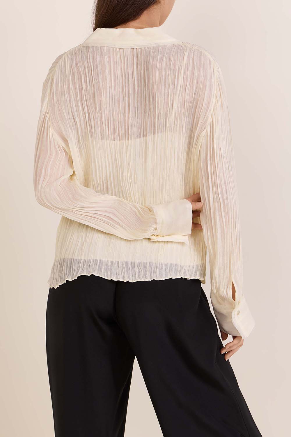 תמונת דוגמן אחורית של חולצה מכופתרת שקופה