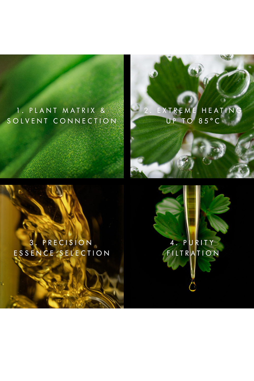 תמונת תקריב של קרם פנים קרמה נרה