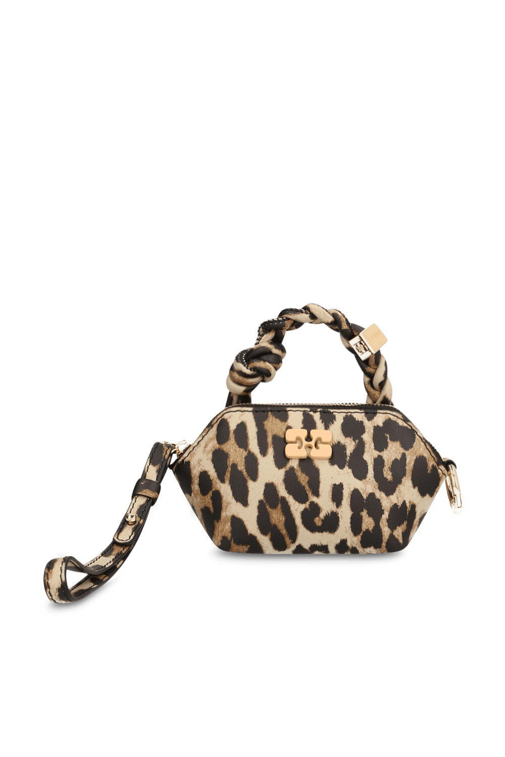 תמונה קידמית של תיק נאנו בו