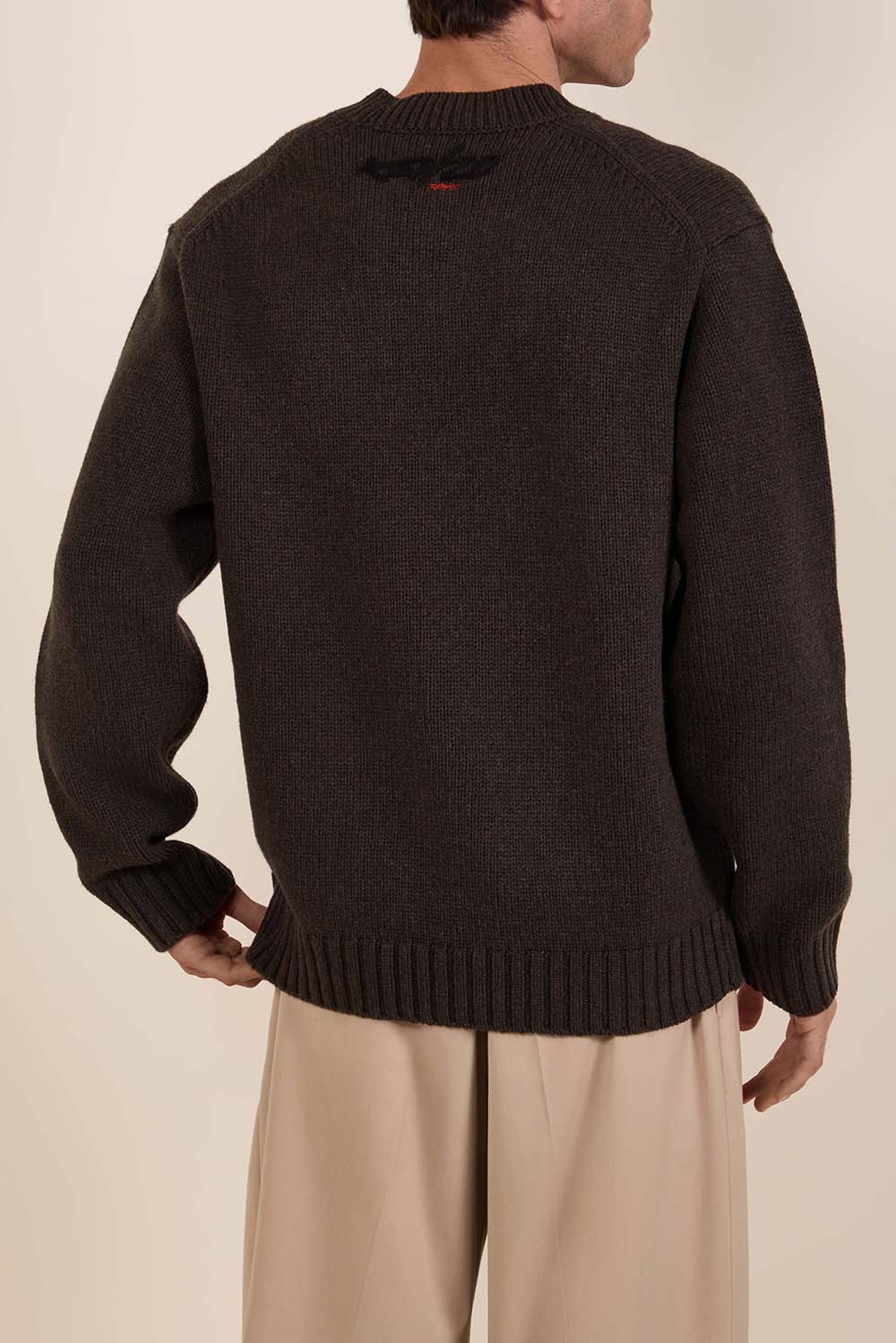 תמונת דוגמן אחורית של סריג צמר קנזו X פוטורה