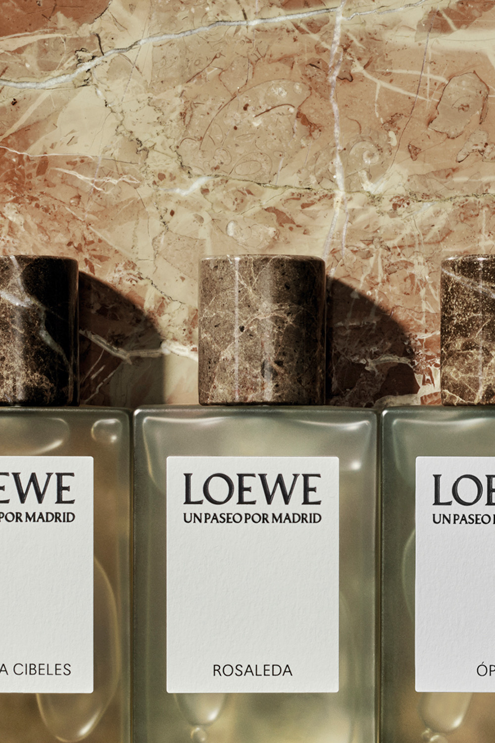 LOEWE UPPM Rosaleda Eau de Parfum 100 ml