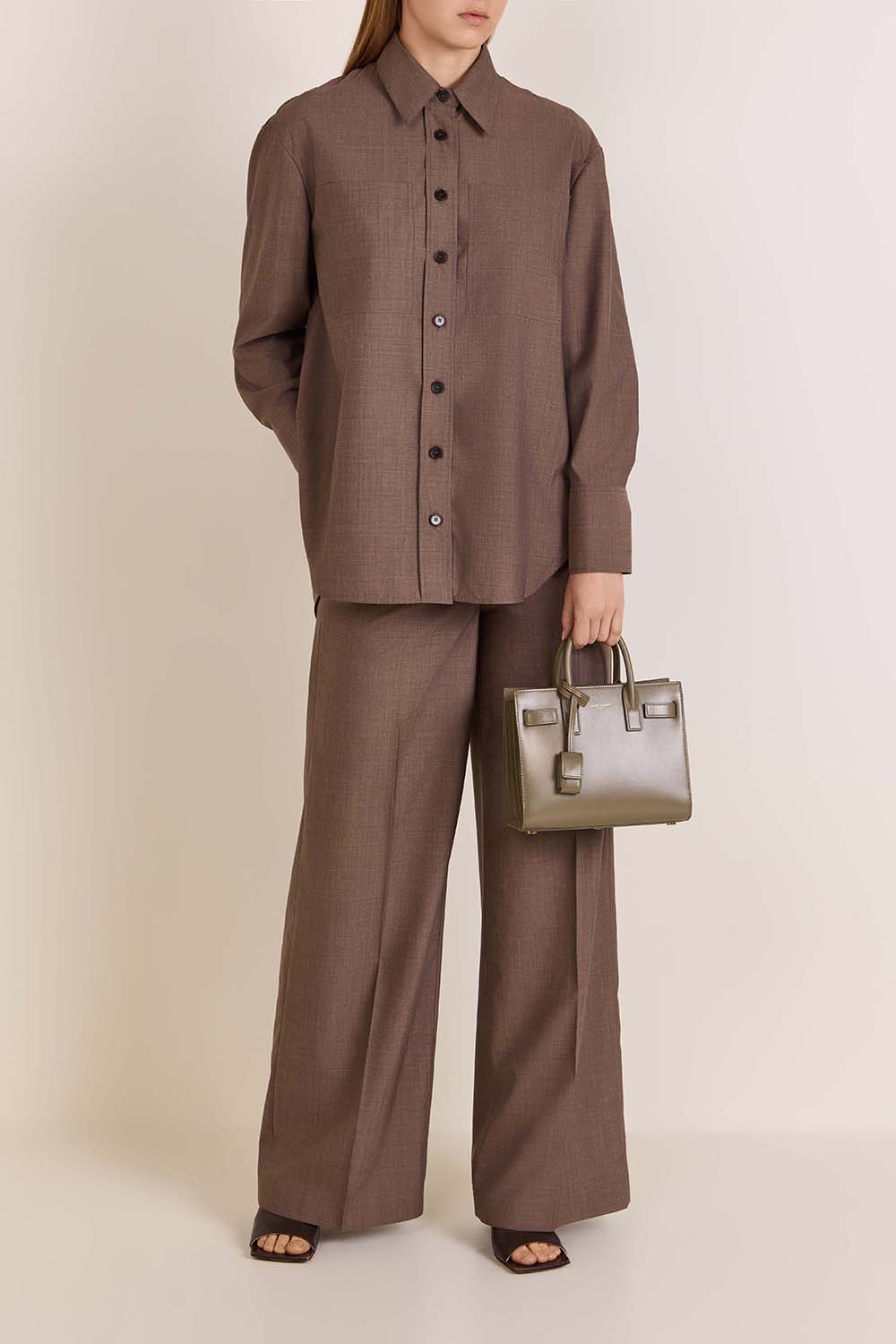 תמונת דוגמן קידמית של תיק נשיאה ננו