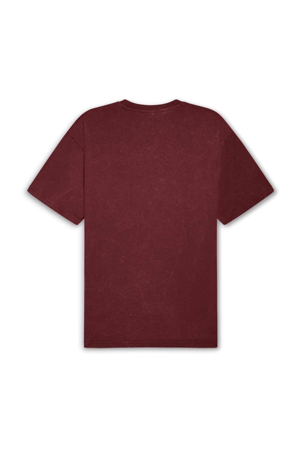 תמונה אחורית של חולצת טי