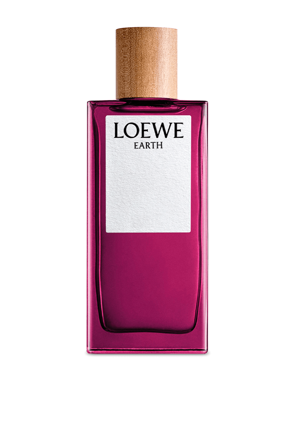 תמונה קידמית של LOEWE Earth Eau de Parfum 100 ml