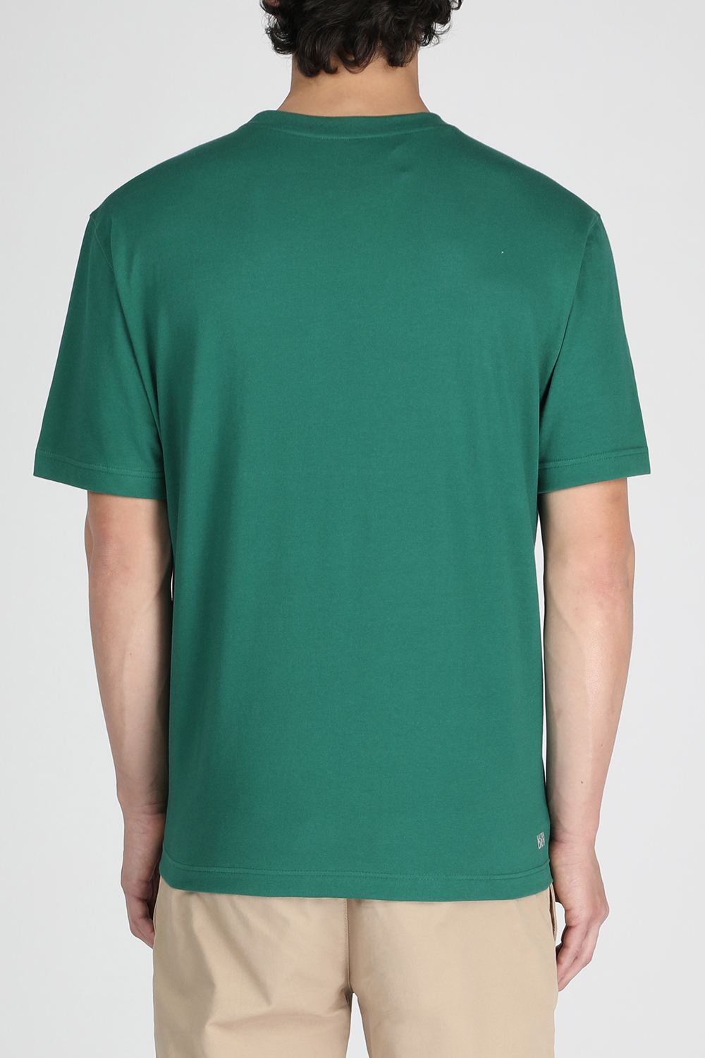 תמונת דוגמן אחורית של Crew Neck T-Shirt in Green