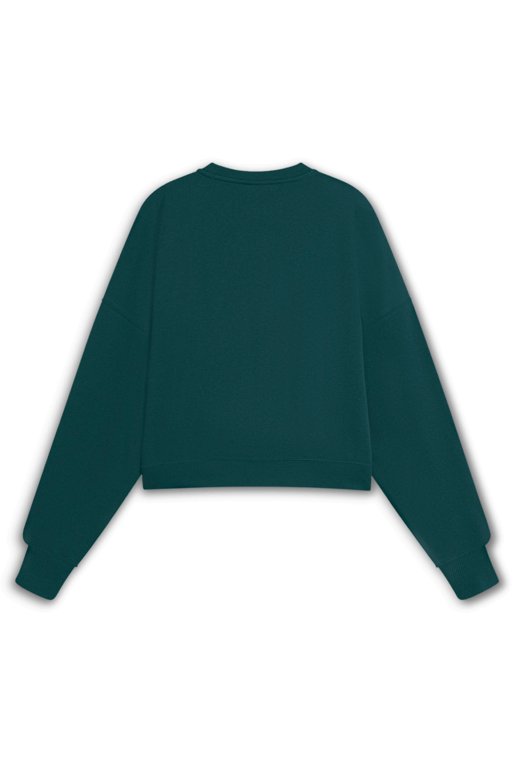 תמונה אחורית של סווטשירט