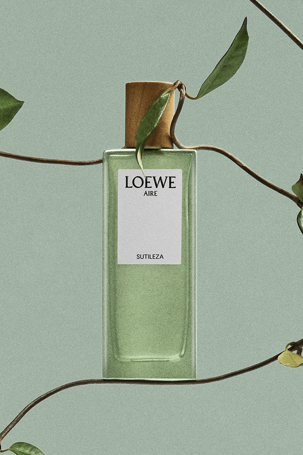 תמונת פנים של LOEWE Aire Sutileza Eau de Toilette 50 ml