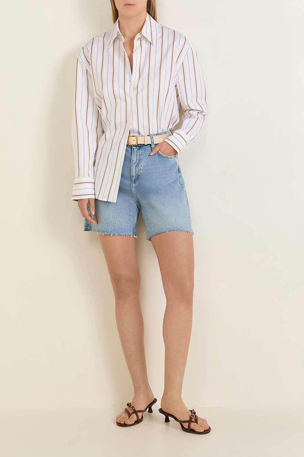 תמונת דוגמן קידמית של חגורה