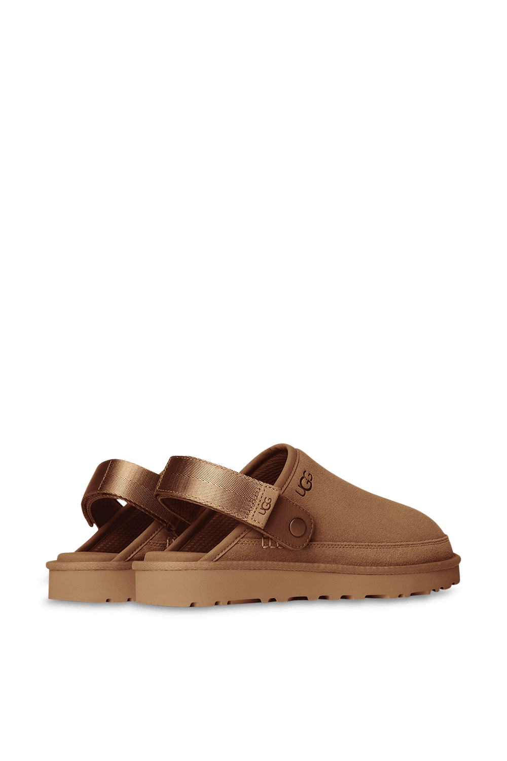 תמונת תקריב של גולדן קוסט קלוג II