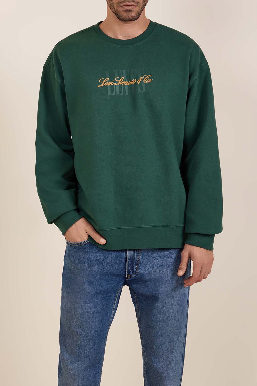 תמונת דוגמן קידמית של סווטשירט