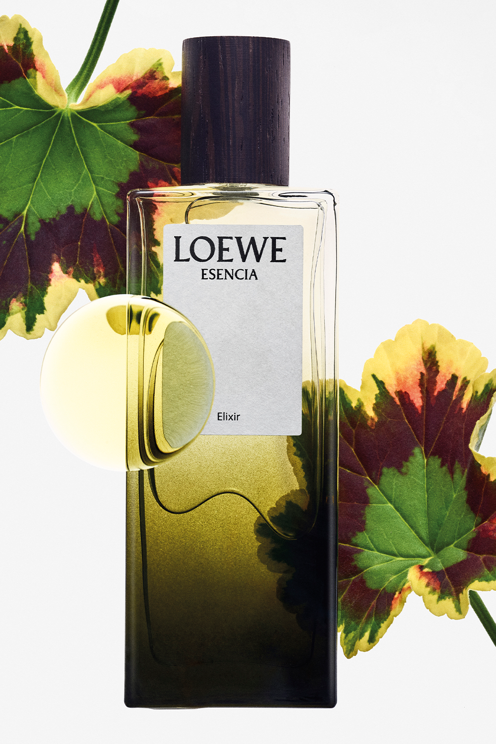 תמונת פנים של LOEWE Esencia Elixir Eau de Parfum 100 ml