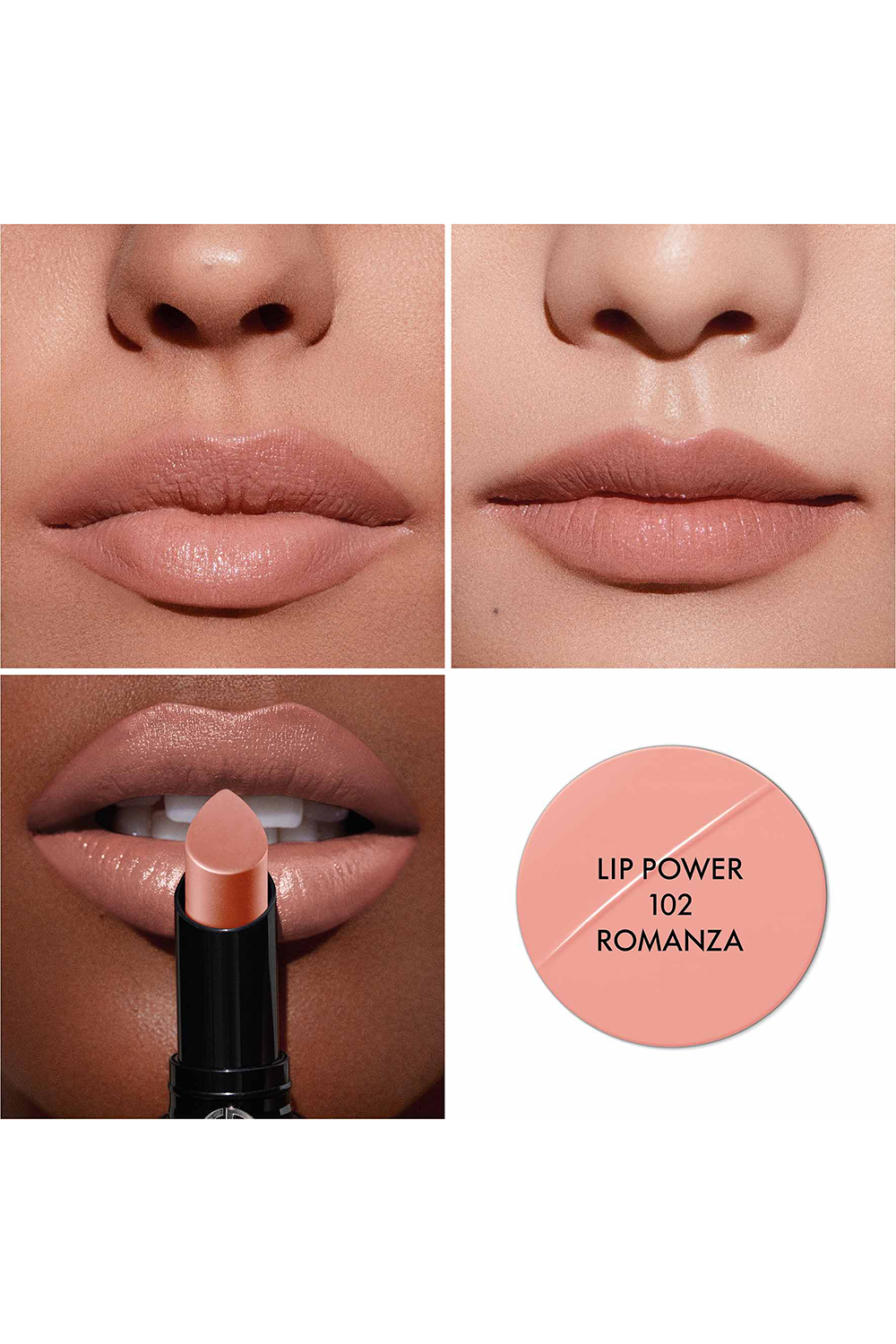 תמונה אחורית של שפתון עמיד ליפ פוואר 102