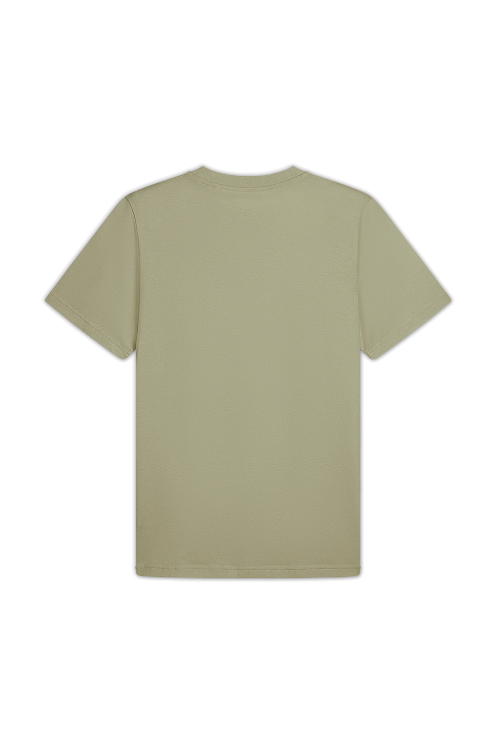 תמונה אחורית של חולצת טי