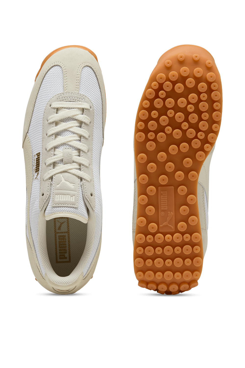 תמונה אחורית של נעלי סניקרס